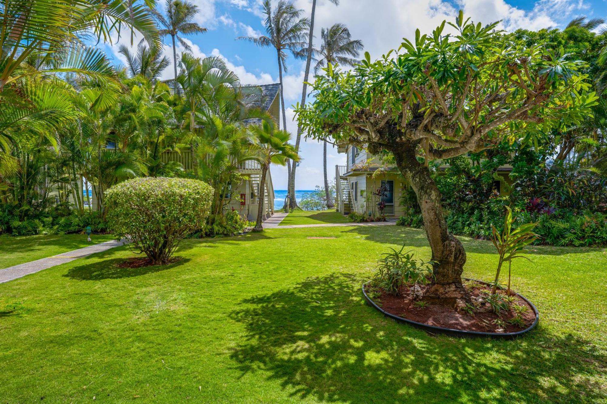 Gardenfront Escape With Ocean Views At Sands 24 Holiday home Kapa'a